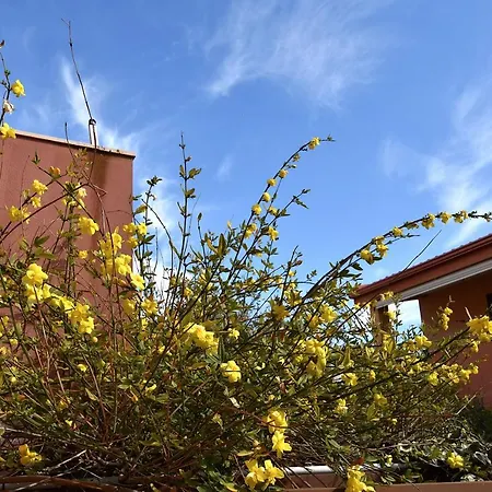 Residenza Le Due Palme ヴィッラシミーウス