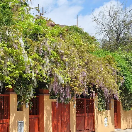Residenza Le Due Palme Aparthotel Villasimius