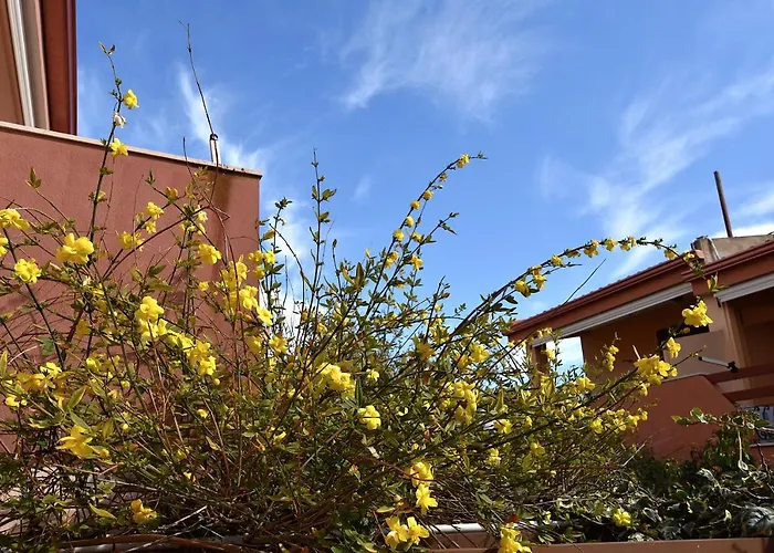 Le Due Palme Вилласимиус